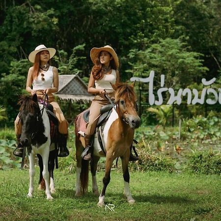 ไร่นาบัวหลวง คาเฟ่ & ฟาร์มสเตย์ Raina Bualuang Cafe & Farm Stay Ban Na No エクステリア 写真