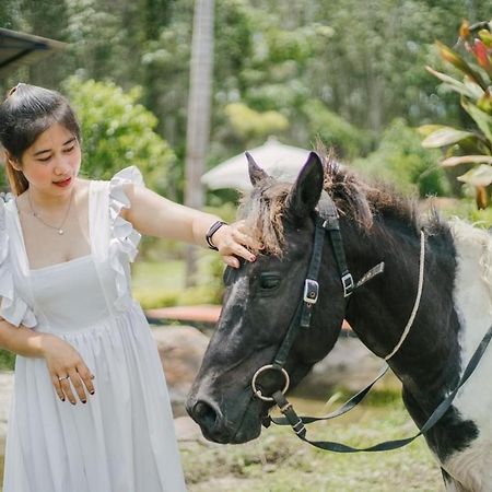 ไร่นาบัวหลวง คาเฟ่ & ฟาร์มสเตย์ Raina Bualuang Cafe & Farm Stay Ban Na No エクステリア 写真