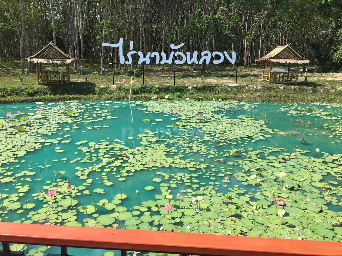 ไร่นาบัวหลวง คาเฟ่ & ฟาร์มสเตย์ Raina Bualuang Cafe & Farm Stay Ban Na No エクステリア 写真