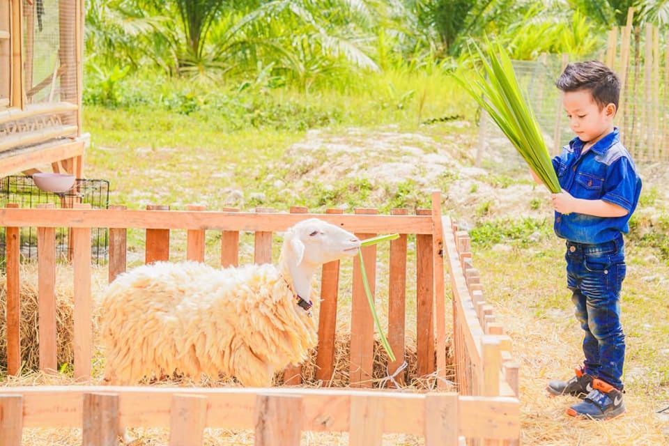 ไร่นาบัวหลวง คาเฟ่ & ฟาร์มสเตย์ Raina Bualuang Cafe & Farm Stay Ban Na No エクステリア 写真