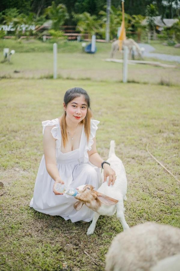 ไร่นาบัวหลวง คาเฟ่ & ฟาร์มสเตย์ Raina Bualuang Cafe & Farm Stay Ban Na No エクステリア 写真
