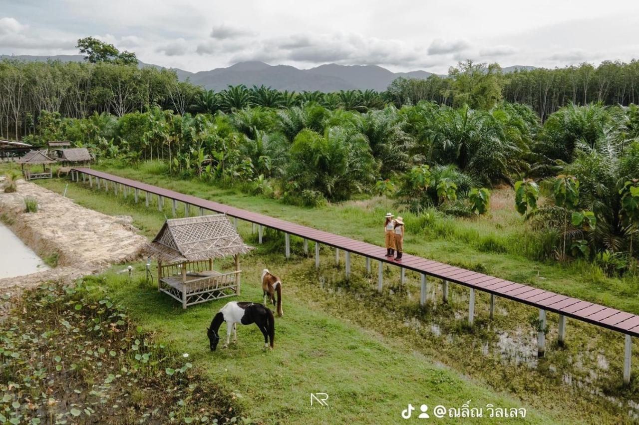 ไร่นาบัวหลวง คาเฟ่ & ฟาร์มสเตย์ Raina Bualuang Cafe & Farm Stay Ban Na No エクステリア 写真