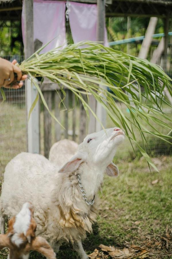ไร่นาบัวหลวง คาเฟ่ & ฟาร์มสเตย์ Raina Bualuang Cafe & Farm Stay Ban Na No エクステリア 写真