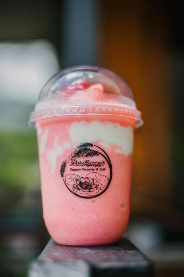 ไร่นาบัวหลวง คาเฟ่ & ฟาร์มสเตย์ Raina Bualuang Cafe & Farm Stay Ban Na No エクステリア 写真